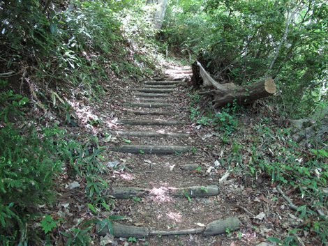 20140517hike (101)